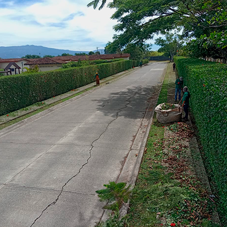 service single images