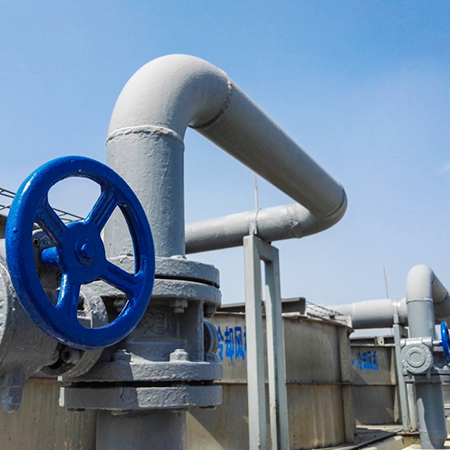 service single images