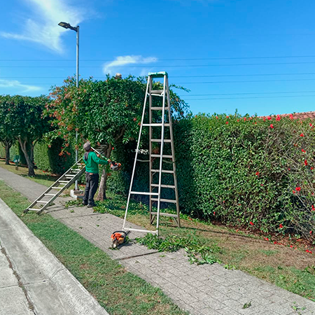 service single images